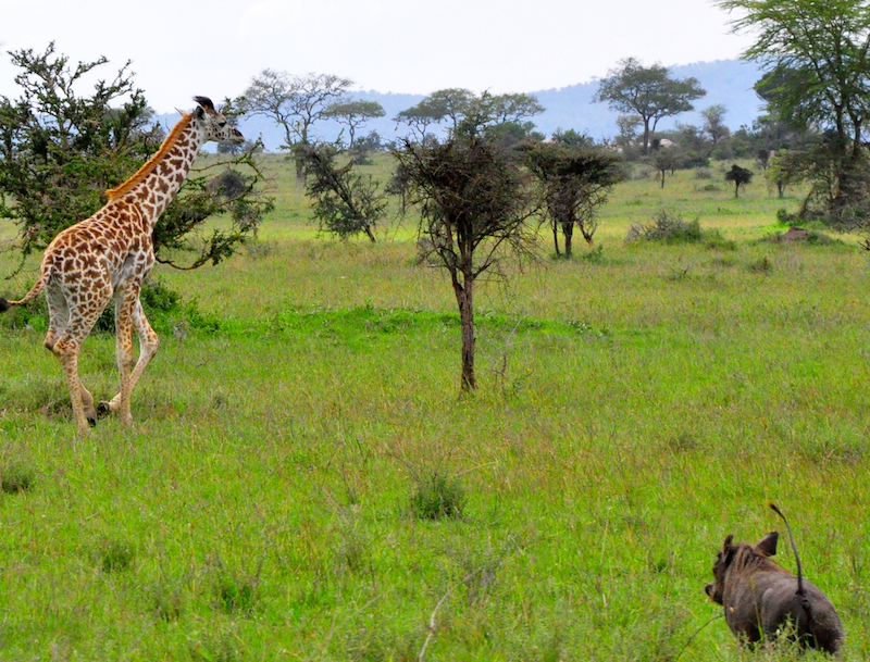 Melanie Heinrich Travel Images Africa